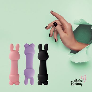 Мини-вибратор FeelzToys Mister Bunny Pink с двумя насадками